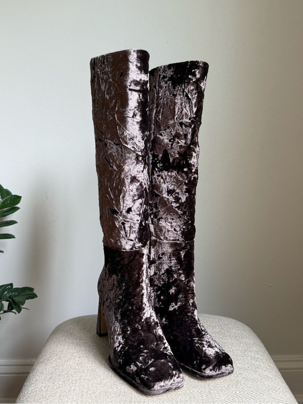 Sam Edelman Issabel Velvet Tall Knee-High Boots in Dark Brown
